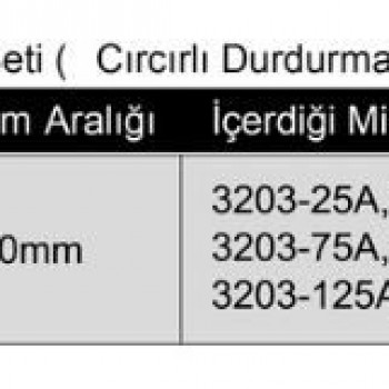 Insize Standart Model Dış Çap Mikrometre Seti 6 Parça 0-150mm | 3203-1506A Insize Standart Model Dış Çap Mikrometre Seti 6 Parça 0-150mm | 3203-1506A