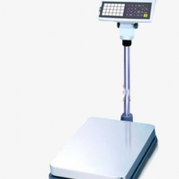 CAS ECB 40*50 İthal Sayıcı Baskül 60 Kg/5g